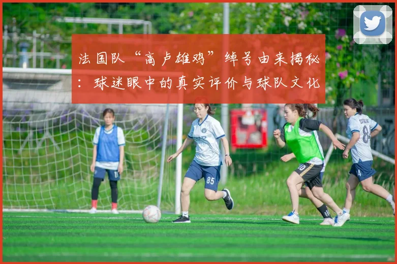 法国队“高卢雄鸡”绰号由来揭秘:球迷眼中的真实评价与球队文化