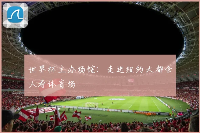 世界杯主办场馆:走进纽约大都会人寿体育场